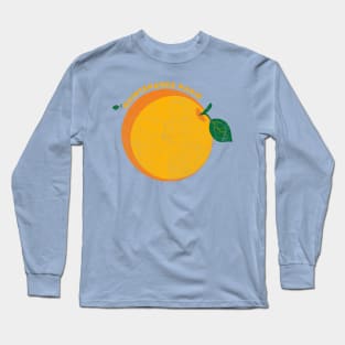 orange maintenane phase v2 Long Sleeve T-Shirt